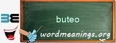 WordMeaning blackboard for buteo